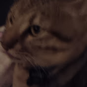 Profile Picture of Cinthia Sanchez (@CinthiaSanchez-og2mr) on Youtube