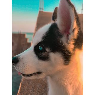 Randy Saltzman - Facebook Profile Picture of Randy Saltzman (@ranndyj.palacios) on Facebook