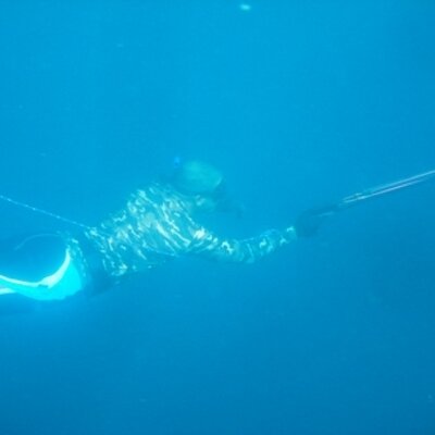 Profile Picture of Alejandro Castrejon (@alex_castre) on Twitter