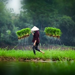 Profile Picture of Huynh Phong (@yeuemcogai_kieuky) on Flickr