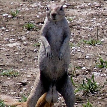 Profile Picture of Tim Abbott (@AbbottTim) on Twitter