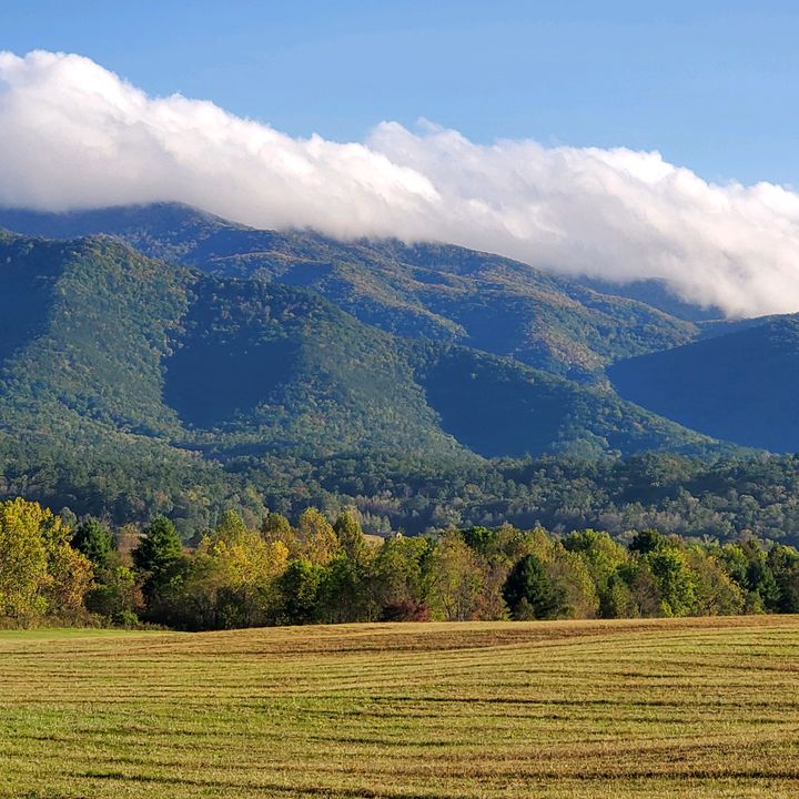 Profile Picture of Coty Pinnell (@cotypinnell) on Tiktok