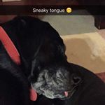 Profile Picture of Nell Son Edwards (@nell_edwards_) on Instagram