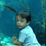 Profile Picture of Brian McPartland (@bmcpla) on Instagram