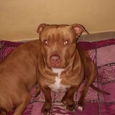 Profile Picture of Martin Turek (@MartinTurek3) on Twitter