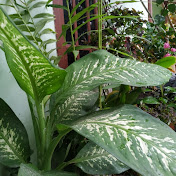 Profile Picture of Jena Yoho (@JenaYoho) on Youtube