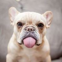 Nicholas Sparks - Quora Profile Picture of Nicholas Sparks (@nicholas-sparks-25) on Quora