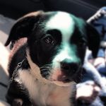 Profile Picture of Autumn Barber (@autumn_hayes_barber) on Instagram