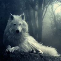 Profile Picture of Steven Dinger (@steven-dinger-2) on Quora