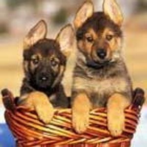 Profile Picture of Michael Racho (@264521574) on Myspace