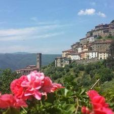 Profile Picture of Sean O'H (@Sean_OHalloran) on Twitter