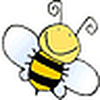 Profile Picture of Paula Hecker (@beeteacher) on Flickr