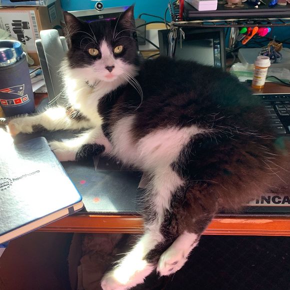 Profile Picture of Sandra Glowka (@sglowka) on Poshmark