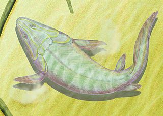 Profile Picture of Elpistostegalia - Wikipediaon Wikipedia