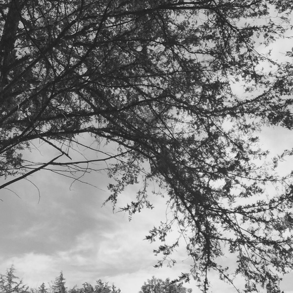 Profile Picture of Molly Kelvington (@kelvington_m) on Poshmark