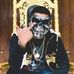 Profile Picture of Iván Verdugo (@ivan.verdugo.5015) on Facebook