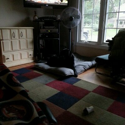 Profile Picture of Jason Boumeester (@madboumer) on Twitter