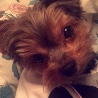 Profile Picture of Floyd Hudgins (@floyd.hudgins) on Facebook