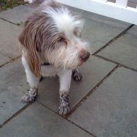 Michael Aragona - Quora Profile Picture of Michael Aragona (@michael-aragona-3) on Quora