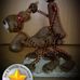 Profile Picture of Markus Braunschweig (@markus.braunschweig.5) on Facebook