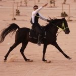 Profile Picture of Al-anan Stud (@sultan_almesbah) on Instagram