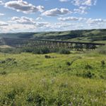 Profile Picture of Colin Lyle (@colin.lyle) on Instagram