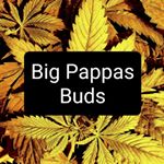 Profile Picture of Eric ayers (@bigpappasbuds) on Instagram