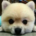 Profile Picture of Allen (@allen.roy) on Instagram