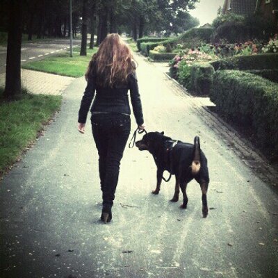 Profile Picture of Lisa Postma (@liesjeuuu) on Twitter