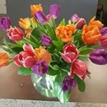 Profile Picture of Theresa Clark (@theresa.clark.509) on Instagram