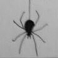 Profile Picture of Itzel Solis (@itzel-solis-11) on Quora