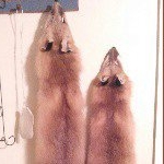 Profile Picture of ericpruett93 (@ericpruett93) on Instagram