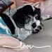 Profile Picture of Beverly Williams Rutkoski (Beverly Williams Rutkoski) (@beverly.rutkoski) on Facebook