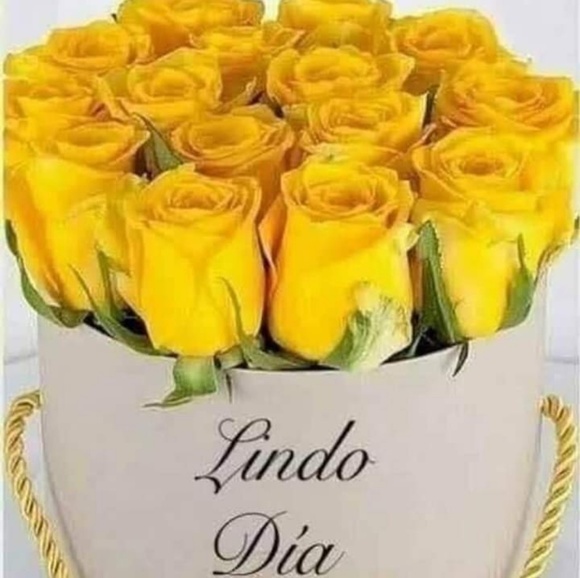 Profile Picture of Ashly Lopez (@ashlyl83427) on Poshmark