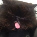 Profile Picture of Matt Stoddart (@stoddart_matt) on Instagram