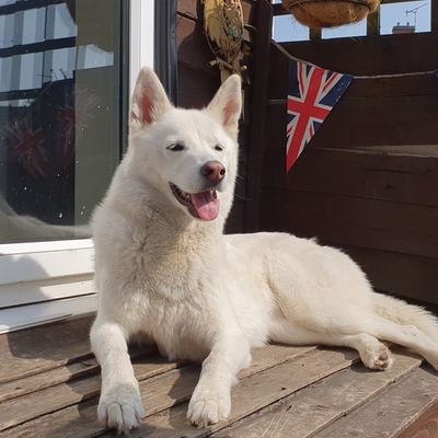 Profile Picture of Scott Mulgrew (@scottjmulgrew) on Twitter