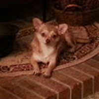 Profile Picture of Sandra Applegate (@sandra-applegate-5) on Quora