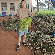 Profile Picture of Michael Kwan (@michaelkwan5417) on Youtube