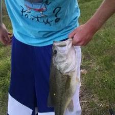 Profile Picture of Chris Eberhardt (@eberhardt597) on Twitter