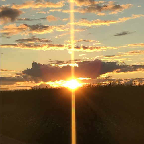 Profile Picture of Amy Wendricks (@awendricks) on Poshmark