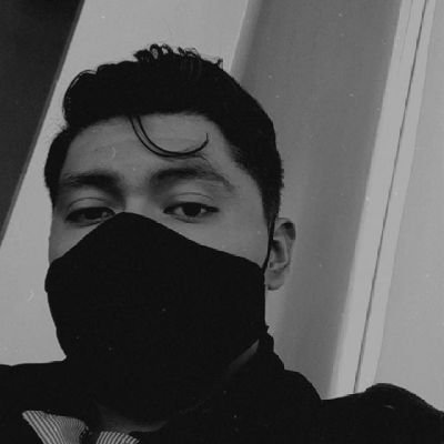 Profile Picture of Max Aleman (@MaxAleman10) on Twitter