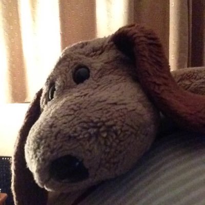 Andy Bassan - Twitter Profile Picture of Andy Bassan (@basher07738) on Twitter