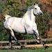 Profile Picture of Paula Colvett (@mom2bbjandag) on Pinterest