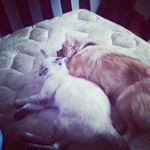 Profile Picture of ginger (@ginger_dougherty_cutey) on Instagram