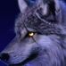 Profile Picture of Scott Mcquiston (@scott.mcquiston.5) on Facebook