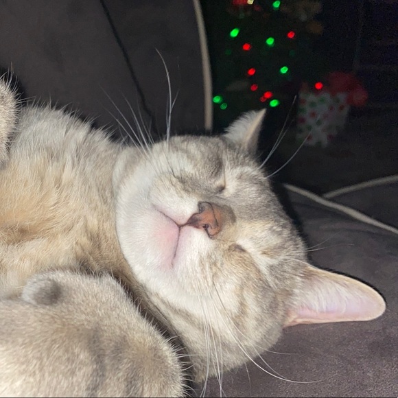 Profile Picture of Andrea Bates (@andreabates910) on Poshmark