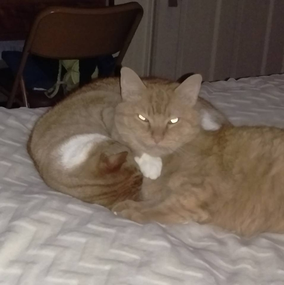 Profile Picture of Derek Lange (@canucks) on Poshmark