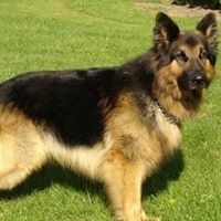 Profile Picture of Catherine Chadwick (@catherine-chadwick-4) on Quora