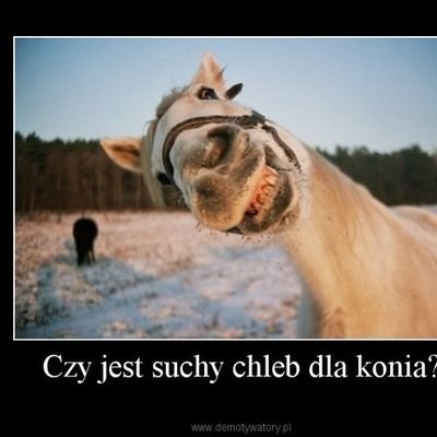 Profile Picture of Daniel Stasiak (@DanielStasiak2) on Twitter
