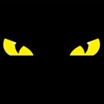 Profile Picture of Rachel B (@ray_brace) on Instagram